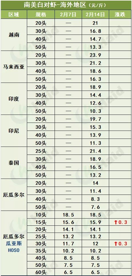 虾价行情 | 暴涨14元/斤！花虾元宵再猛涨，白虾行情怎么样？