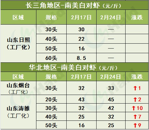 虾价行情 | 全线上涨，最高涨10元/斤！你还有存塘虾吗？