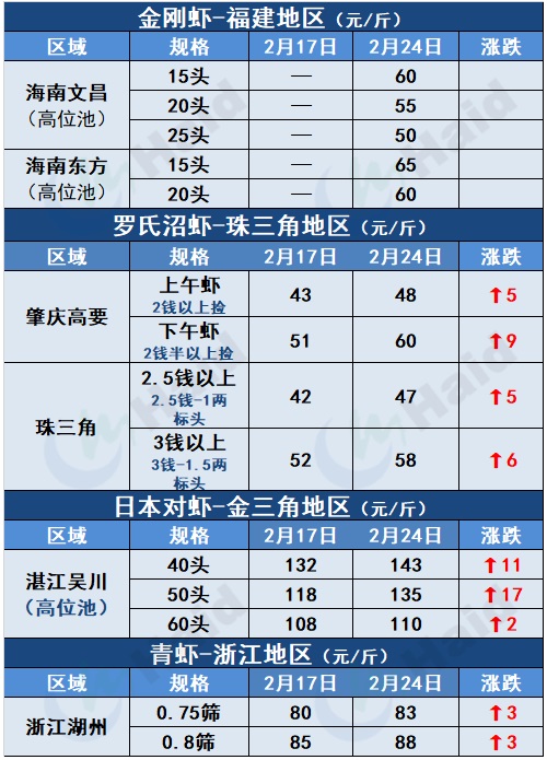 虾价行情 | 全线上涨，最高涨10元/斤！你还有存塘虾吗？