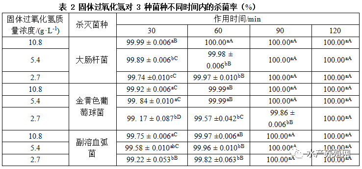 绿弧菌已成对虾养殖拦路虎！2022对虾养殖如何高效防控？