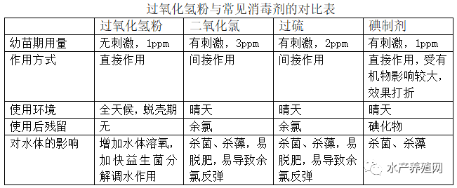 绿弧菌已成对虾养殖拦路虎！2022对虾养殖如何高效防控？