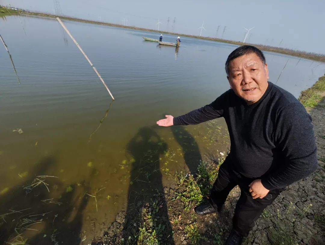 定心丸来了！今年只要不放弃都稳赚！这个养虾高手告诉你春季小龙虾养殖只要做好三点！