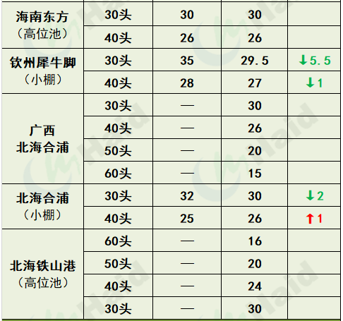 虾价行情 | 清明节已过，各地虾价如何？