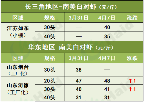 虾价行情 | 清明节已过，各地虾价如何？