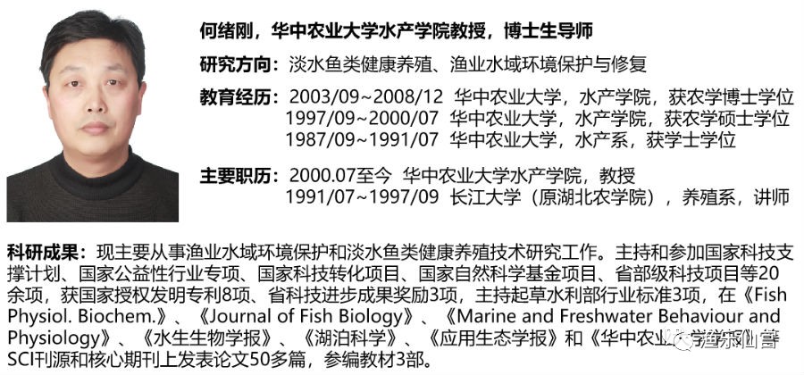 渔乐仙宫-“跑道养鱼”循环水高效养鱼系统