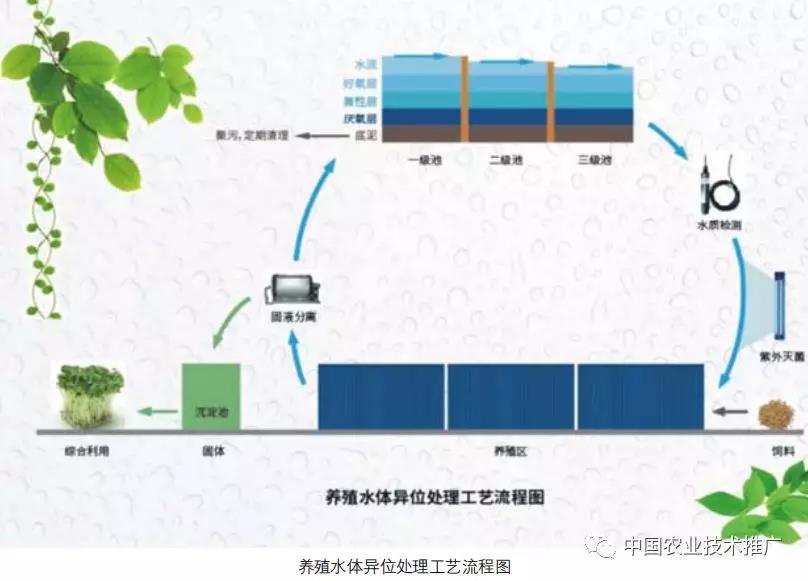 【重大引领性技术】集装箱绿色高效循环水养殖技术集成示范