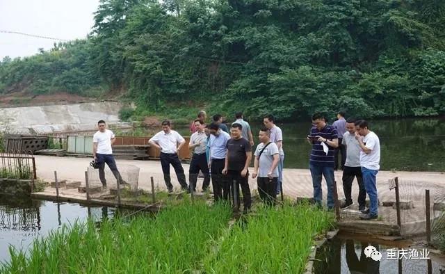 池塘生态循环技术示范展示基地建设项目通过验收