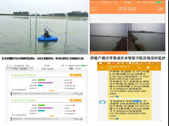 江苏盐城市盐都区建成农业新型水产养殖物联网示范点