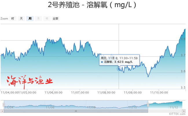 魏茂春：物联网+水产是西医法 中西医结合将颠覆行业