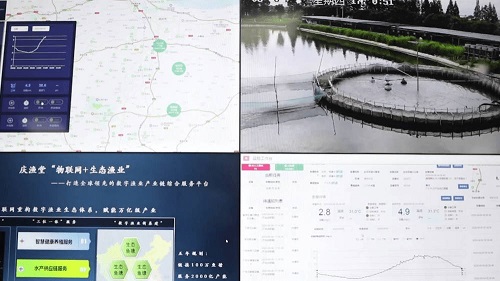 湖州市德清县：数字渔业让农业型美丽城镇显智慧特色
