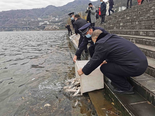 增殖放流，让非法捕鱼者偿还“生态债”！