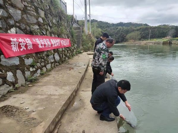 安徽省黄山市祁门县新安镇：生态补偿增殖放流