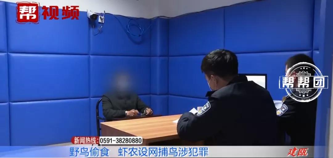 什么情况？养殖户为护自家虾苗，在虾塘架网捕鸟，不料却涉嫌犯罪？