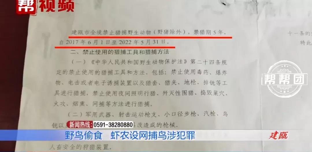 什么情况？养殖户为护自家虾苗，在虾塘架网捕鸟，不料却涉嫌犯罪？