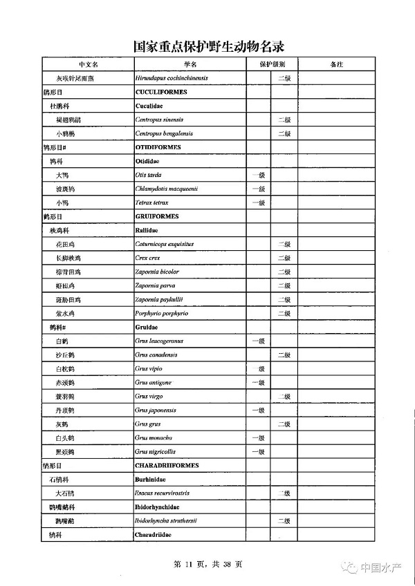 名录来了！调整后的《国家重点保护野生动物名录》正式公布