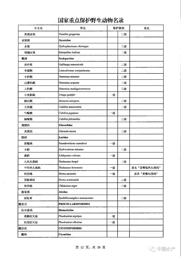 名录来了！调整后的《国家重点保护野生动物名录》正式公布