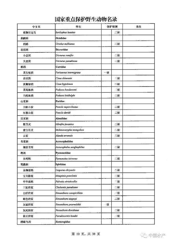 名录来了！调整后的《国家重点保护野生动物名录》正式公布