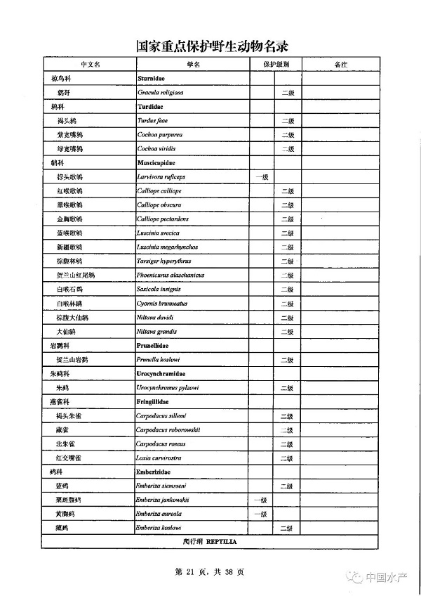 名录来了！调整后的《国家重点保护野生动物名录》正式公布