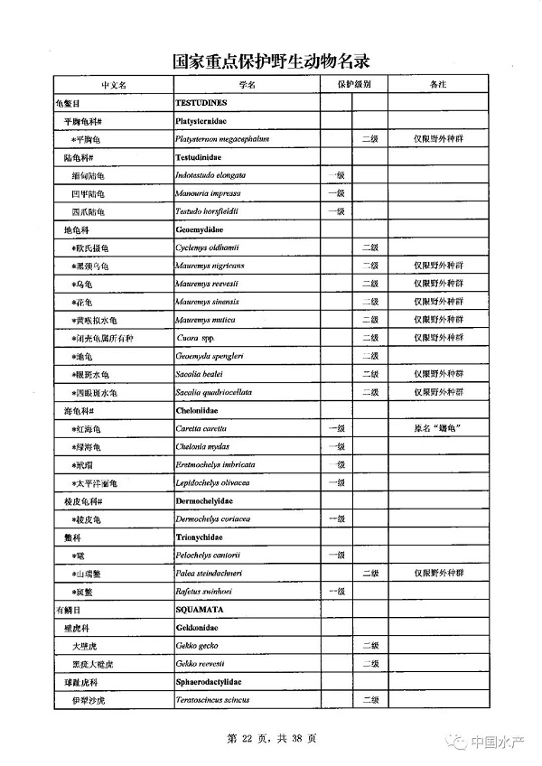 名录来了！调整后的《国家重点保护野生动物名录》正式公布