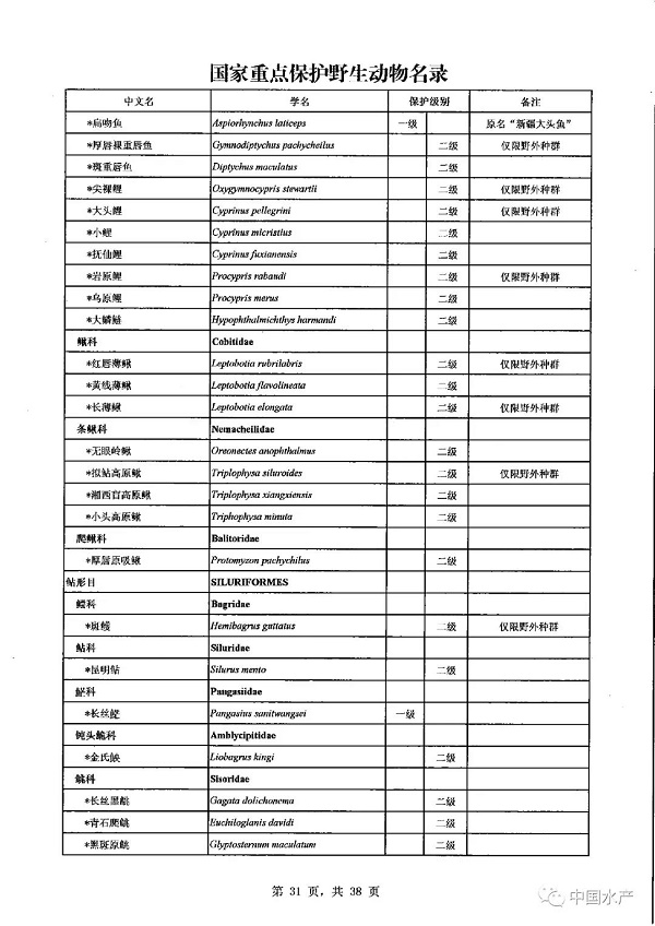 名录来了！调整后的《国家重点保护野生动物名录》正式公布