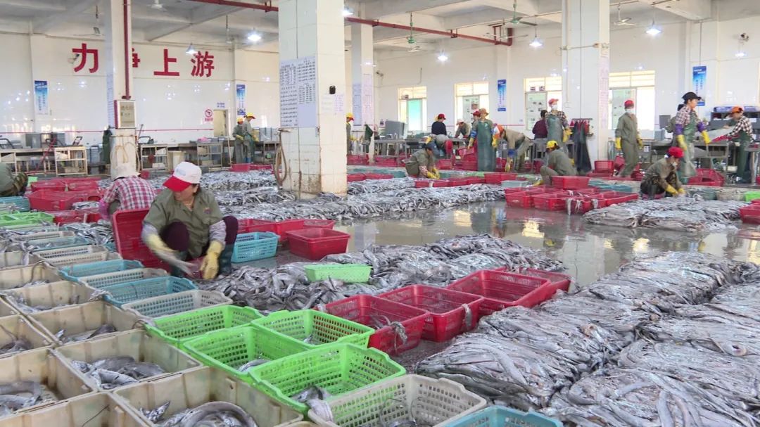 广东省阳江市：走南闯北！阳西冷冻水产品热销北方市场