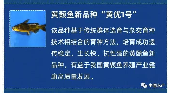 5项涉渔！2021中国农业农村重大新技术新产品新装备遴选结果公布