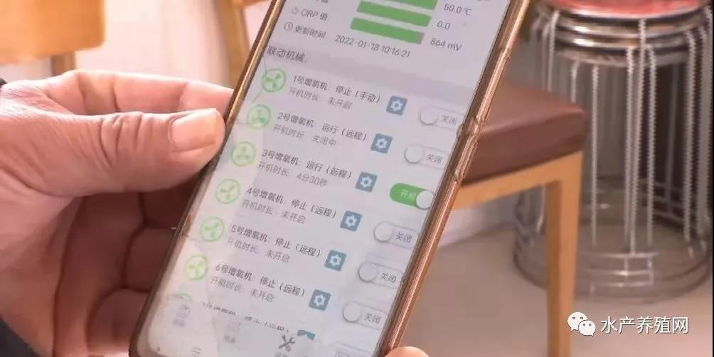 “傍上”高科技，这个养殖场进入智慧养鱼时代