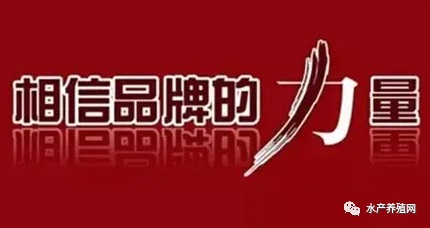 发霉料导致大量死鱼？养鱼户损失百万元，却被告上法院，问题出在哪？