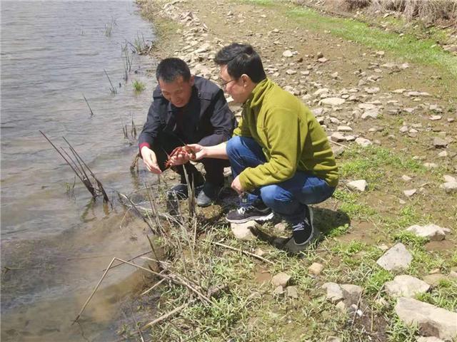 黑龙江双鸭山：接地气的“水产专家”刘庆武