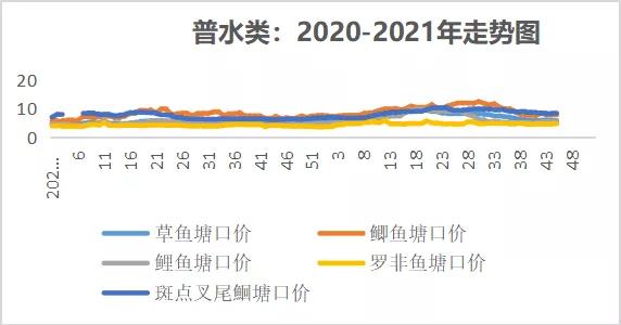 北方暴雪，鱼贩南下抓鱼，湖北叉尾最高上涨0.8元/斤！|一周鱼价行情播报