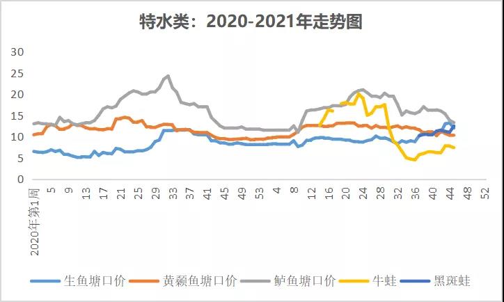 北方暴雪，鱼贩南下抓鱼，湖北叉尾最高上涨0.8元/斤！|一周鱼价行情播报