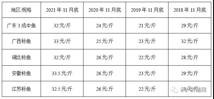 大黑鱼畅销涨价猛，鳜鱼近4年最高价，t鱼加州鲈微涨，黄颡鱼稳定