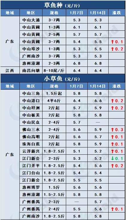 鱼价行情 | 临近春节+多地发生疫情，鱼价会怎么变？