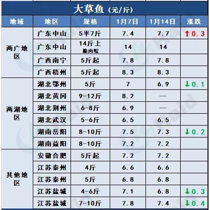 鱼价行情 | 临近春节+多地发生疫情，鱼价会怎么变？