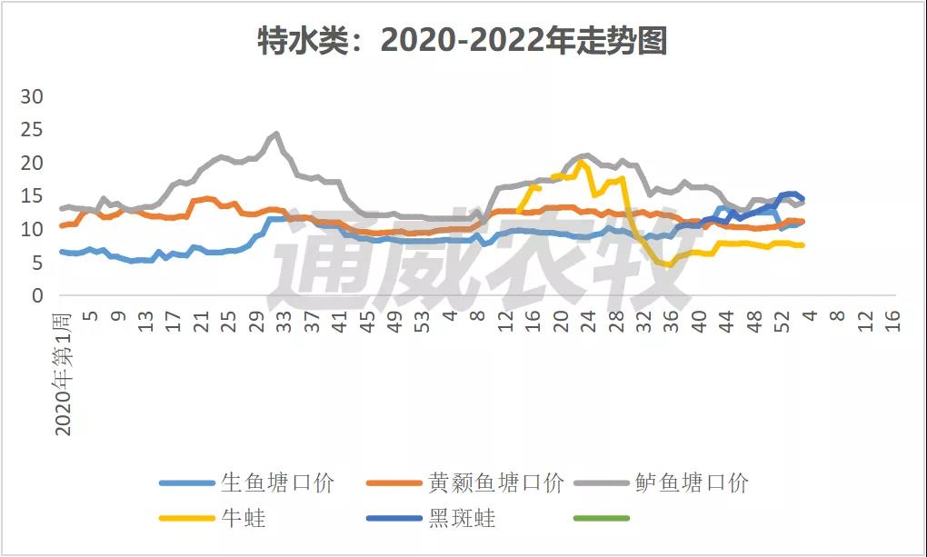 养殖户惜售or不敢卖鱼？利润不够？四川叉尾价格高涨1.5元/斤！