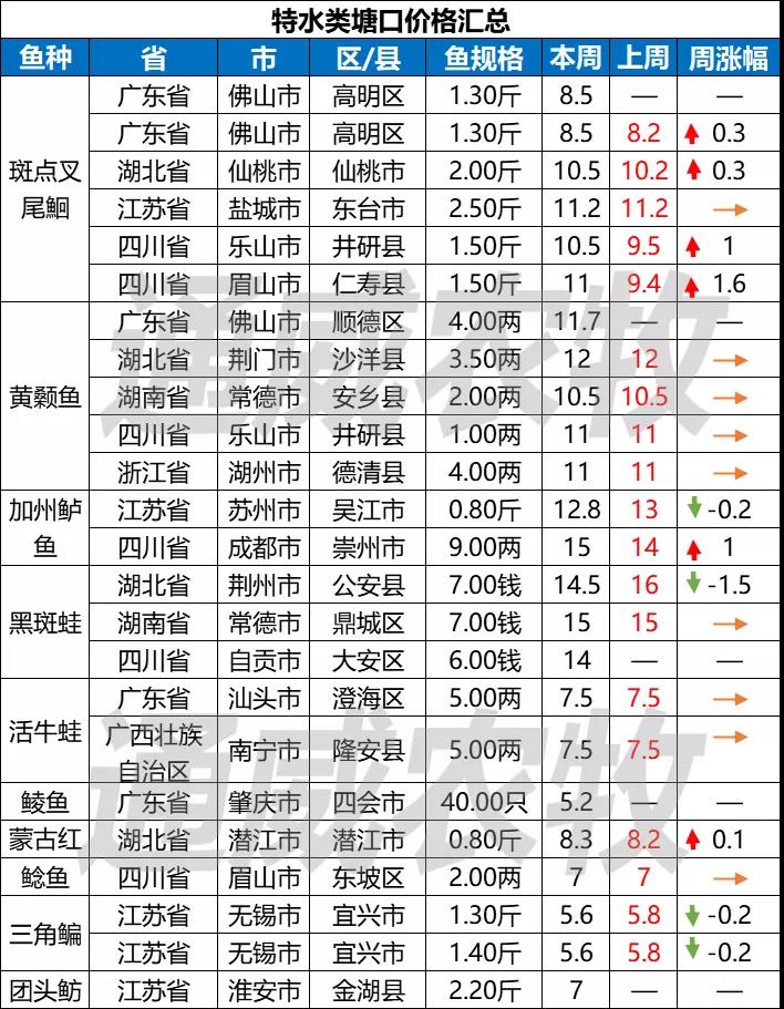 养殖户惜售or不敢卖鱼？利润不够？四川叉尾价格高涨1.5元/斤！