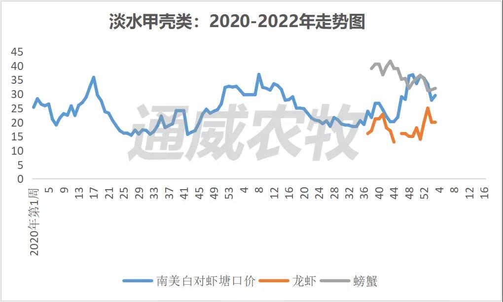 养殖户惜售or不敢卖鱼？利润不够？四川叉尾价格高涨1.5元/斤！