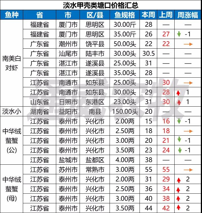 养殖户惜售or不敢卖鱼？利润不够？四川叉尾价格高涨1.5元/斤！