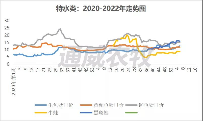 春节带动特种鱼强势上涨，南美白对虾存塘同比超3成，高价还能维持多久？