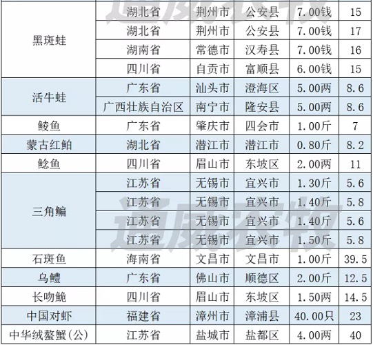 春节带动特种鱼强势上涨，南美白对虾存塘同比超3成，高价还能维持多久？