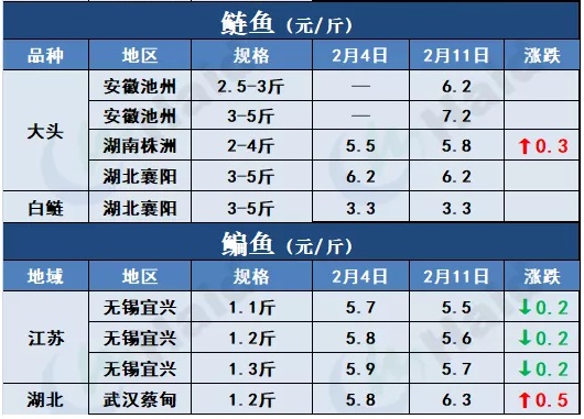 鱼价行情 | 加州鲈、t鱼都涨了！需警惕疫情和天气影响！