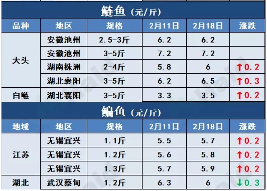 鱼价行情 | 最高13元/斤！存塘减少，t鱼价格继续上涨，后市还要涨？