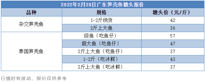 天气回暖出鱼增多，笋壳鱼一周下调1元/斤！消费转淡，建议适时卖鱼