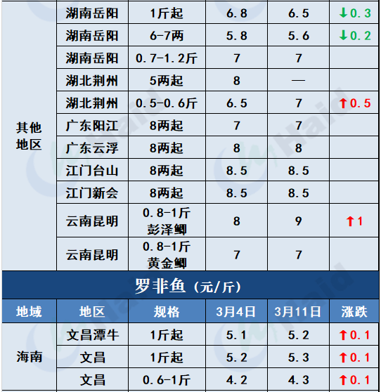 鱼价行情 | 加工厂抢鱼！罗非价格全线上涨，其他鱼怎么样呢？