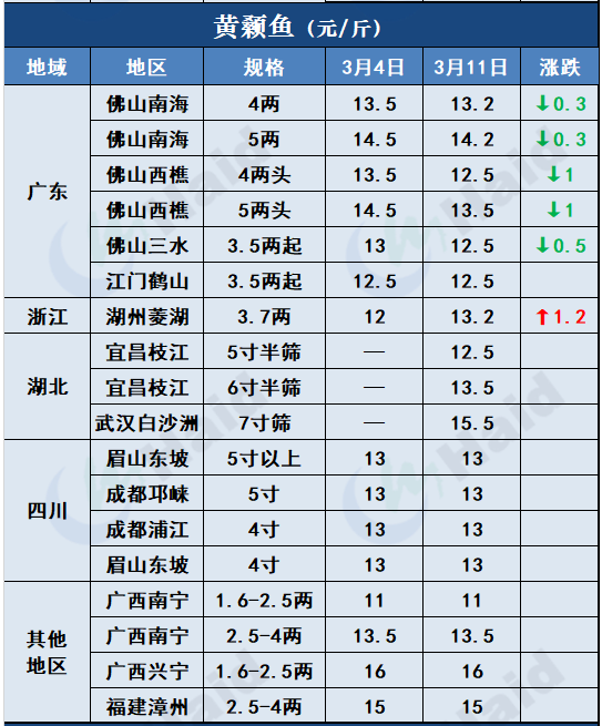 鱼价行情 | 加工厂抢鱼！罗非价格全线上涨，其他鱼怎么样呢？