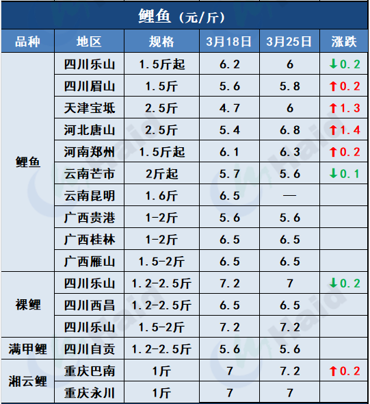 鱼价行情 | 疫情+天气影响，全国各地鱼价情况如何？