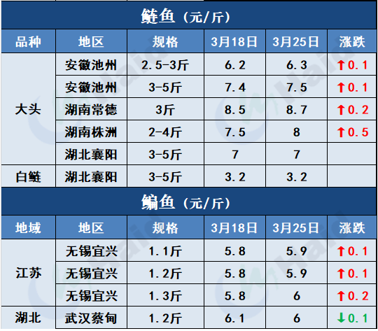 鱼价行情 | 疫情+天气影响，全国各地鱼价情况如何？