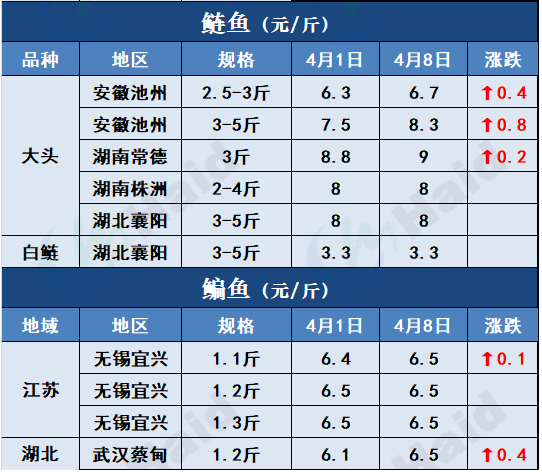 鱼价行情 | 清明后，各地的鱼价变化在你预料之中吗？