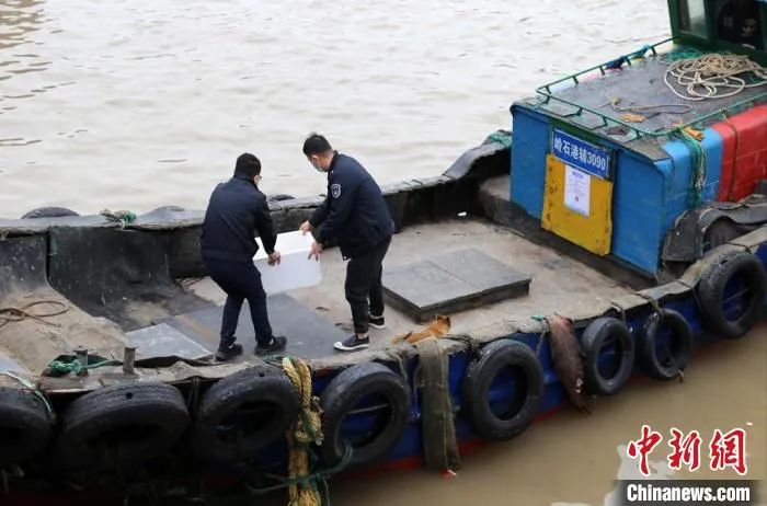 “水中大熊猫” 中华鲟误入渔网 渔民和渔政部门合力放生