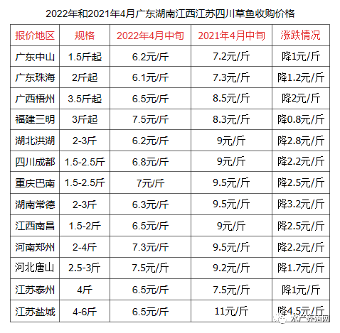 鱼价大幅下滑，饲料暴涨近千元，鱼苗滞销严重，今年草鱼还能养吗?